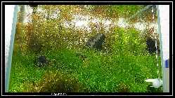 comp_DSC01021.jpg