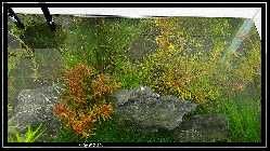 comp_DSC01086.jpg