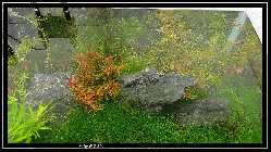 comp_DSC01088.jpg
