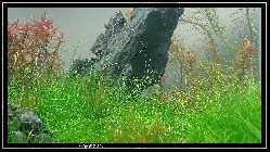 comp_DSC01098.jpg