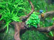 171 (640x480) (3).jpg