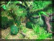 comp_170 (640x480) (640x480).jpg