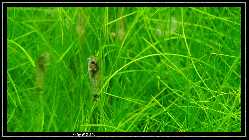 comp_DSC01114.jpg