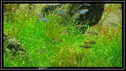 comp_DSC01123.jpg
