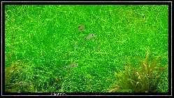 comp_DSC01119.jpg