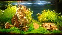 2011-11-09 19.44.37 Bild 1.jpg