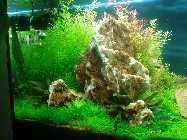 2011-11-09 19.45.02 Bild 3.jpg