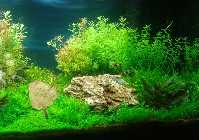 2011-11-09 19.45.20 Bild 5.jpg