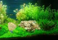 2011-11-09 19.45.27 Bild 6.jpg