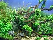 10.11.11 012_(800_x_600).jpg