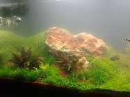 2011-11-11 20.55.14 Bild 2.jpg