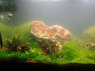 2011-11-11 20.55.32 Bild 3.jpg