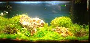 2011-11-15 19.07.39 Bild 1.jpg