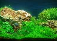 2011-11-15 19.09.08 Bild 6.jpg