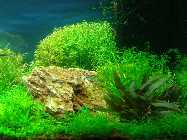 2011-11-15 19.09.39 Bild 8.jpg
