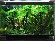 k-IMG_2443.jpg