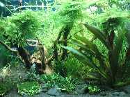 k-DSC00444.jpg