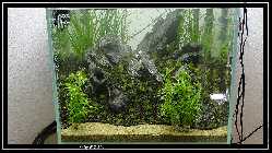 comp_DSC09800.jpg