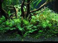 k-IMG_2297 (98).jpg
