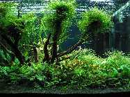 k-IMG_2297 (120).jpg