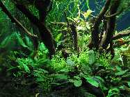k-IMG_2297 (121).jpg