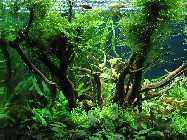 k-IMG_2297 (122).jpg