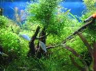 k-IMG_2297 (128).jpg