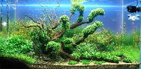 23.11.11 005_(1024_x_768).jpg