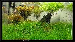 comp_DSC01238.jpg