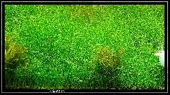 comp_DSC01240.jpg