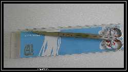 comp_DSC01242.jpg