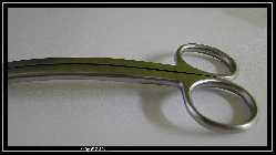 comp_DSC01245.jpg