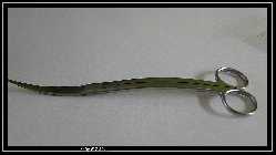 comp_DSC01246.jpg