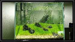 comp_DSC01266.jpg