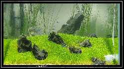 comp_DSC01268.jpg
