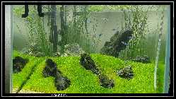 comp_DSC01271.jpg