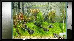 comp_DSC01273.jpg