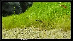 comp_DSC01276.jpg