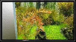 comp_DSC01279.jpg