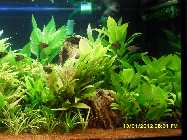 aq_13.01.2012_4.jpg