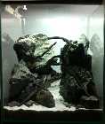 Cube_080112_front_HS.jpg