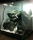 Cube_080112_li_HS.jpg