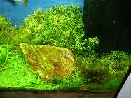 P1190014 Bild 14.jpg