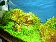 P1190015 Bild 15.jpg