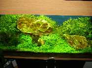 P1190021 Bild 21.jpg
