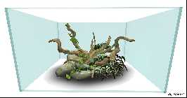 Fair  28.01.12driftwood scene-AQ.jpg