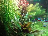 DSC02490_800.jpg