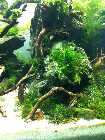 Cube_090212_cu_3_nal.jpg