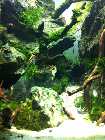 Cube_090212_cu_2_nal.jpg