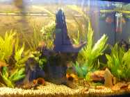 Bild 256.jpg
